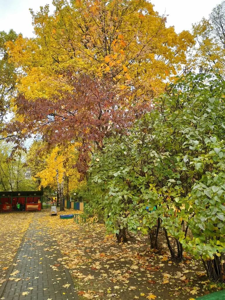 РЖД детский сад № 4 — фото 5