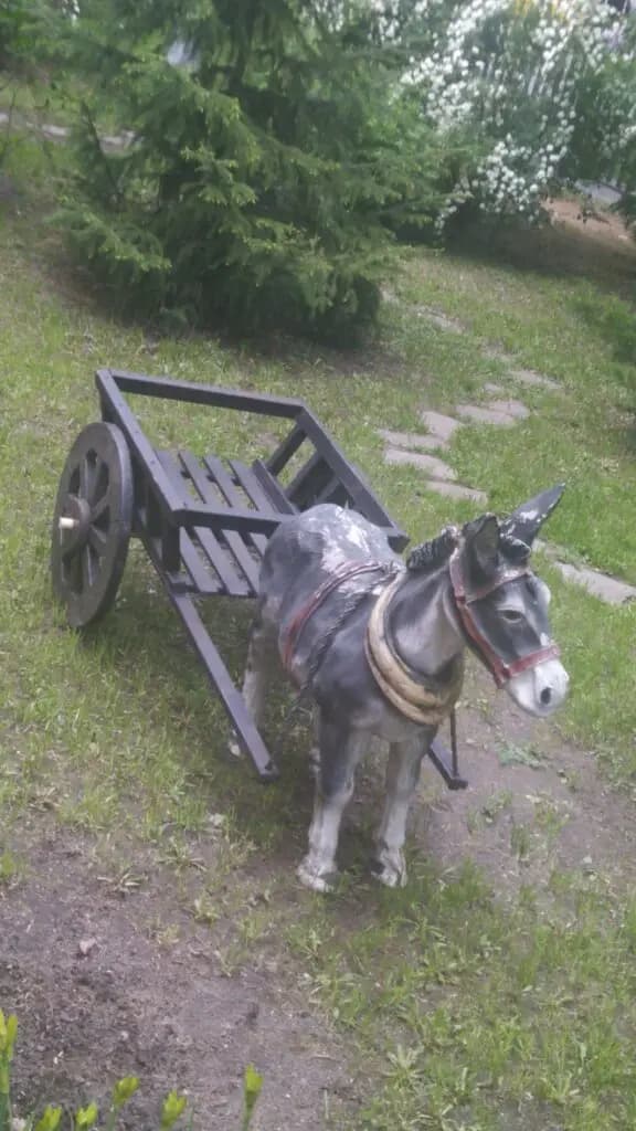 Петровская школа — фото 10