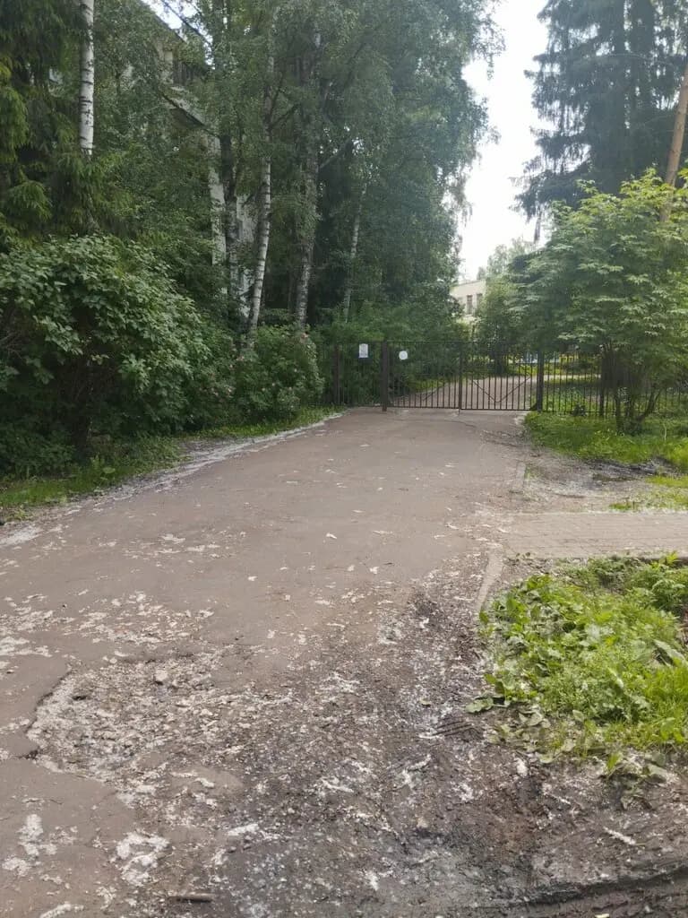 Детский сад № 5 Надежда — фото 6