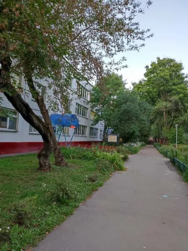 Школа № 1558 имени Росалии де Кастро, дошкольное образование — фото 6
