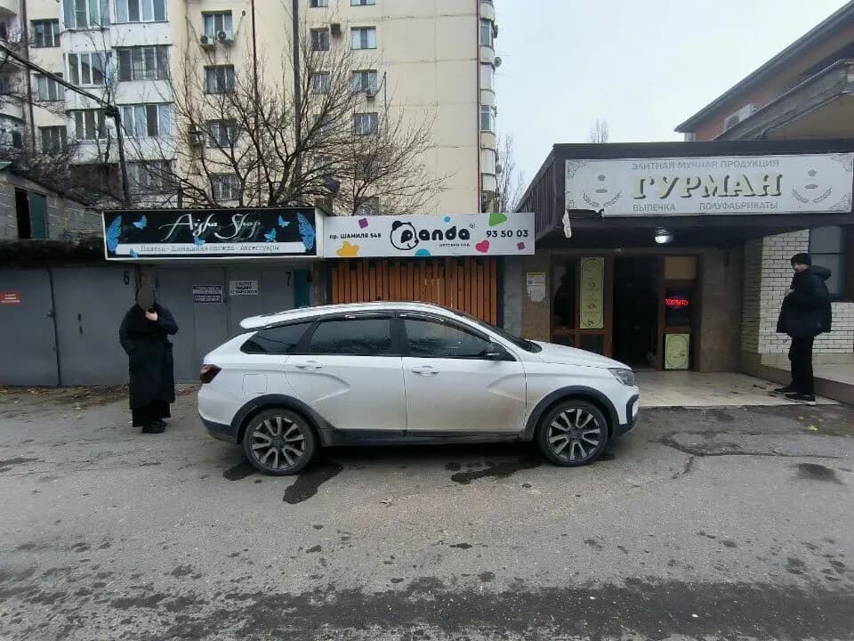 Панда — фото 2