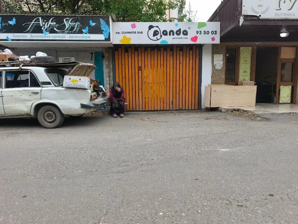 Панда — фото 5