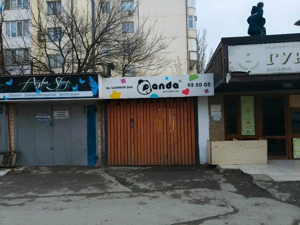Панда — фото 8