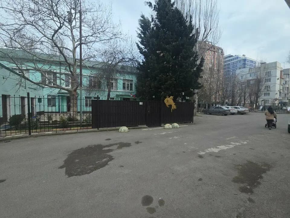Центр развития ребёнка-детский сад № 85 Золотая рыбка — фото 7