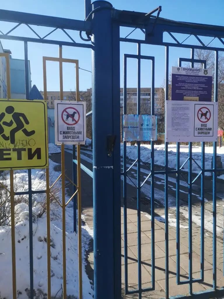 Школа № 1797 Богородская, корпус Мир детства — фото 8