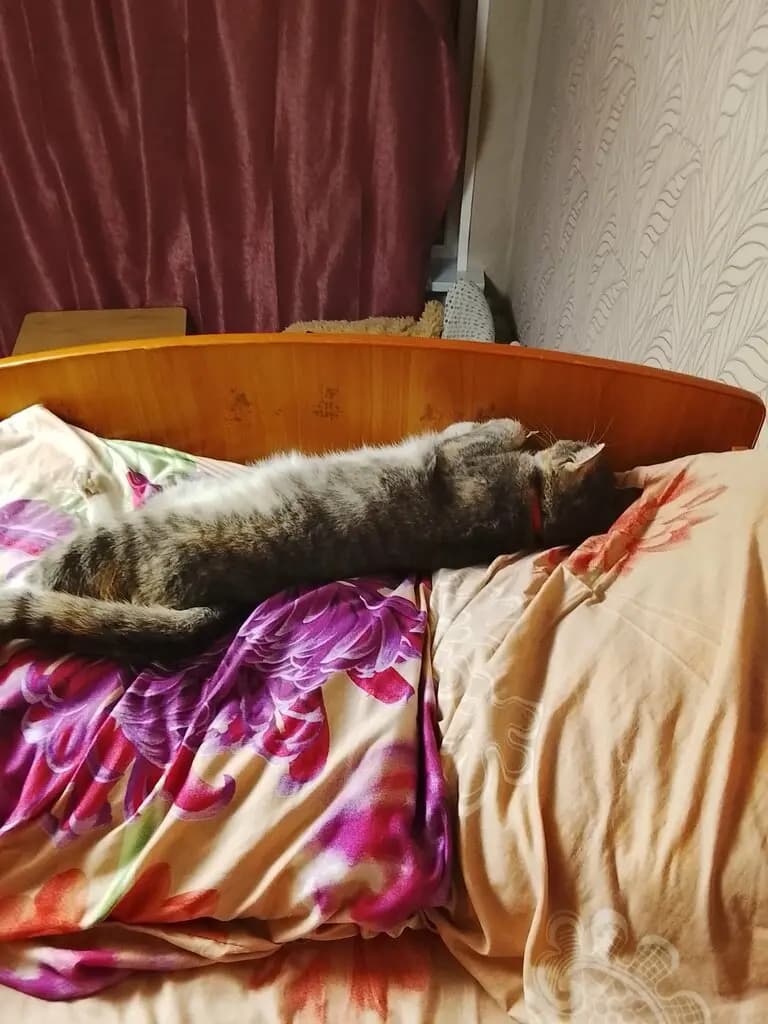 Детский сад № 20 Капитошка — фото 7