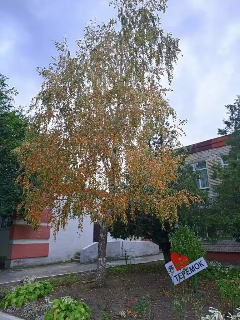 Детский сад № 2 Теремок — фото 6
