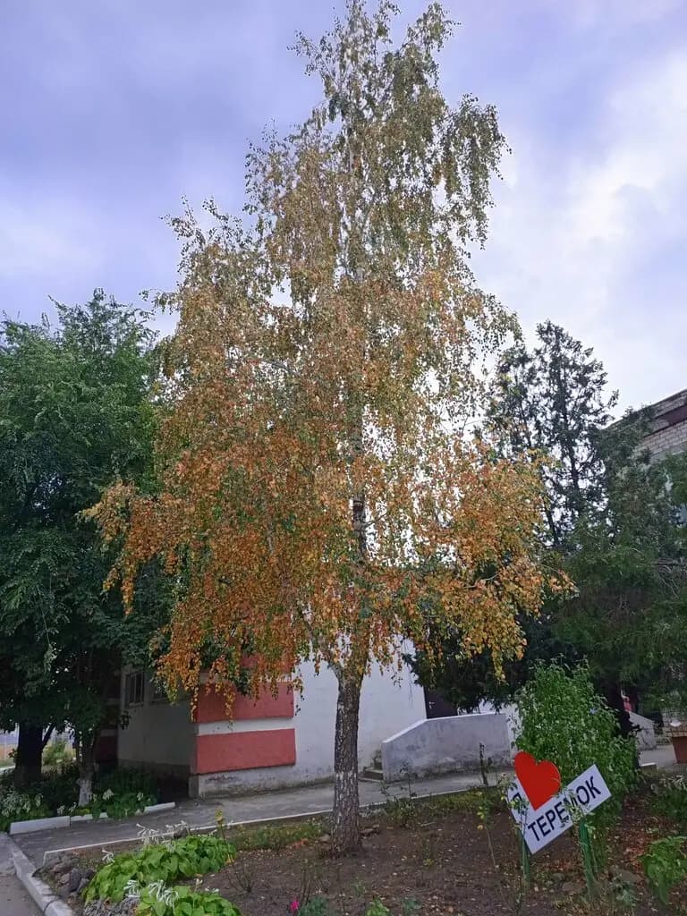 Детский сад № 2 Теремок — фото 7