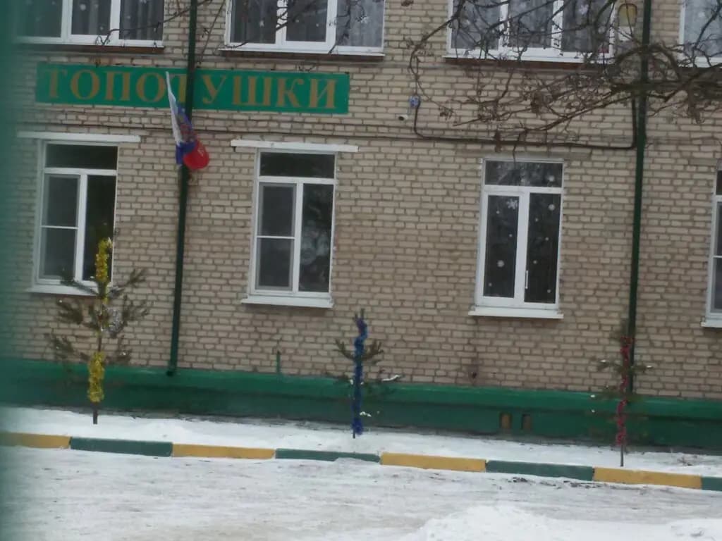 Лицей № 2, дошкольное здание № 8 Топтушки — фото 6