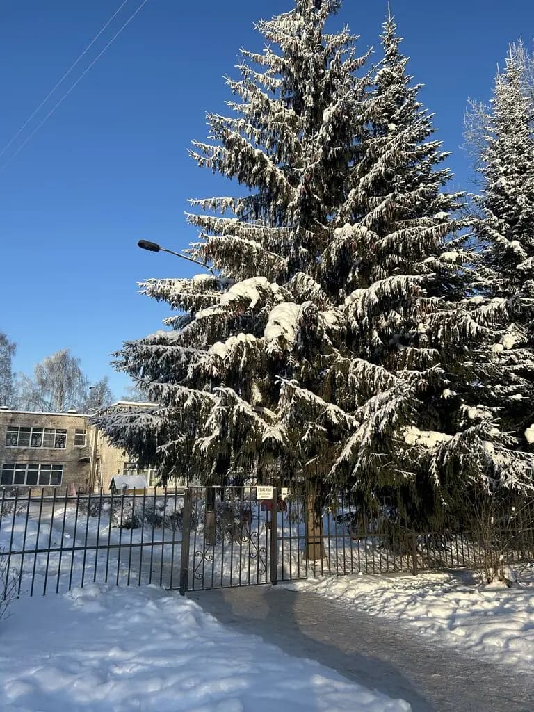Детский сад Улыбка — фото 2