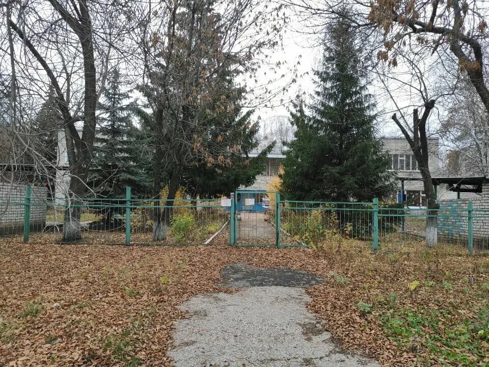 Детский сад № 172 Голубка — фото 6