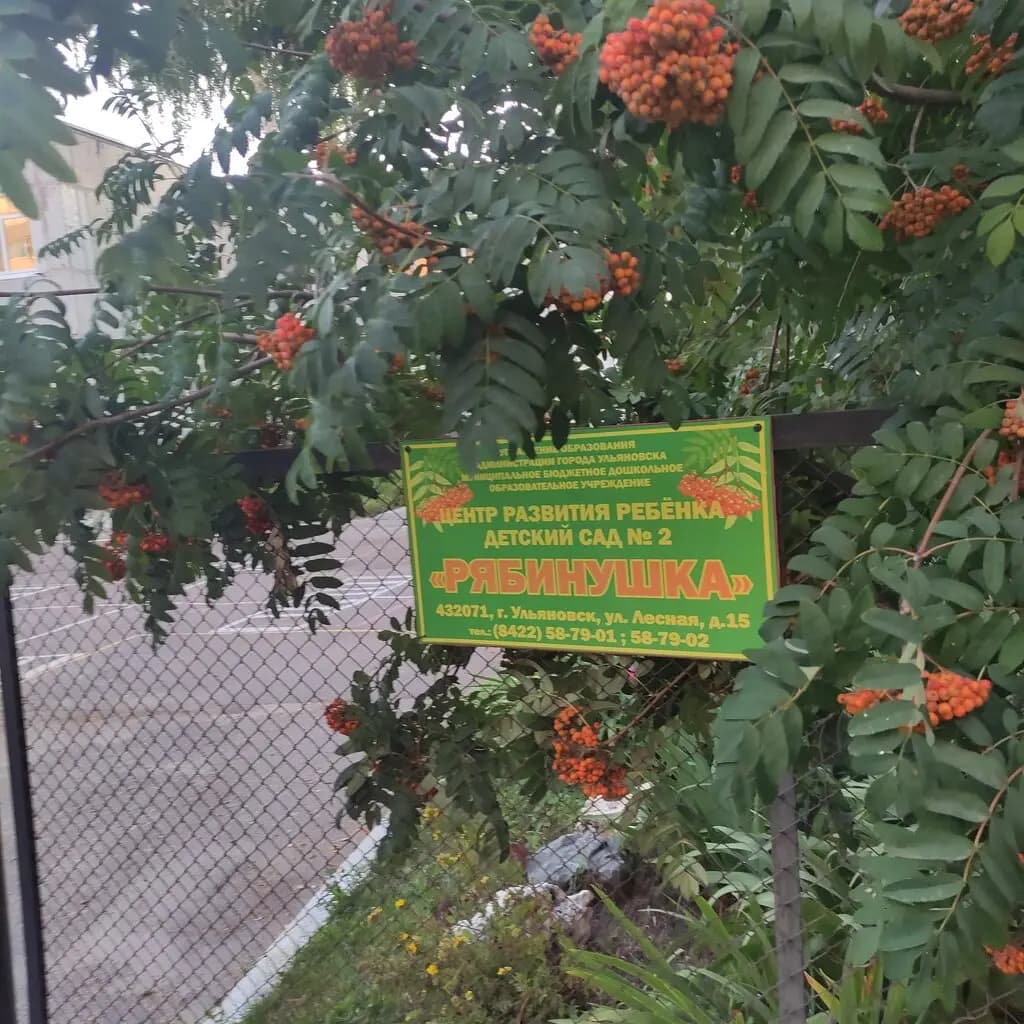 Детский сад № 2 Рябинушка — фото 6