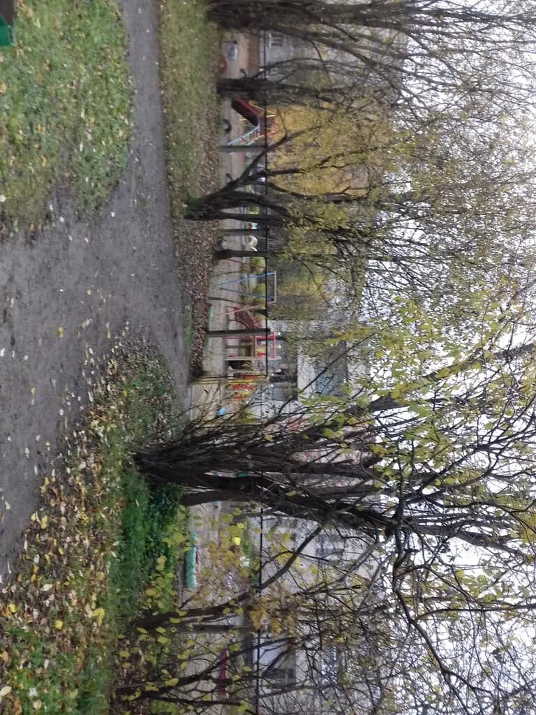 Детский сад № 103 Незабудка — фото 6