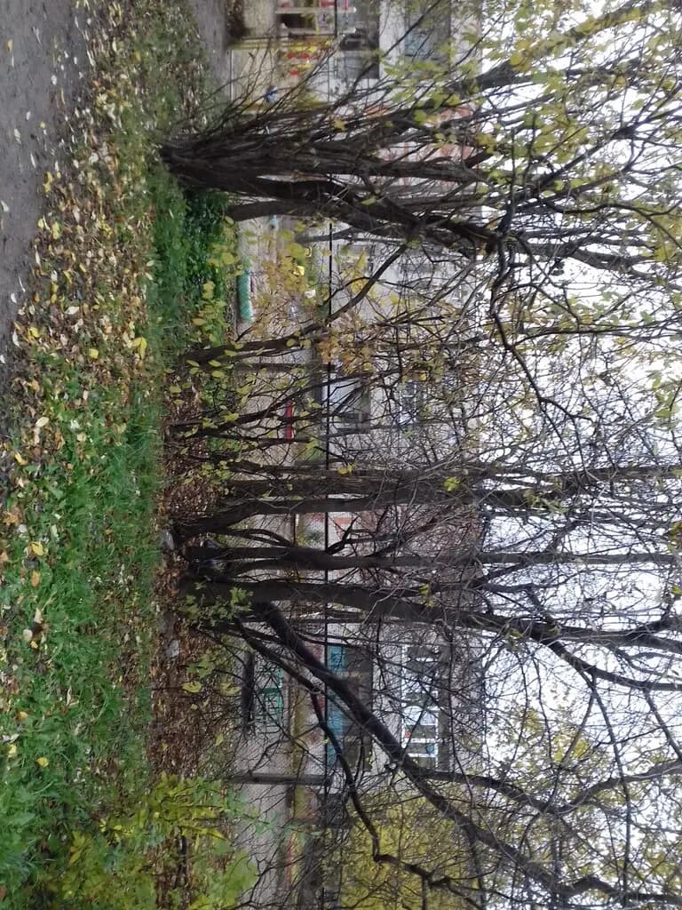 Детский сад № 103 Незабудка — фото 8