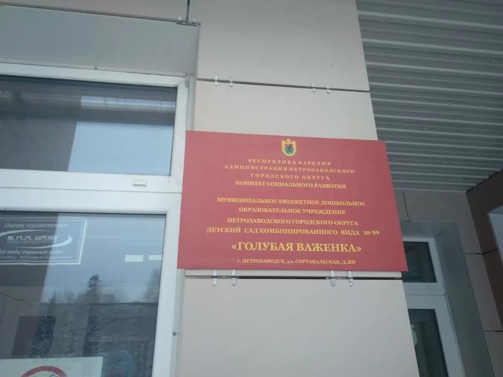 Детский сад № 99 Голубая важенка — фото 4