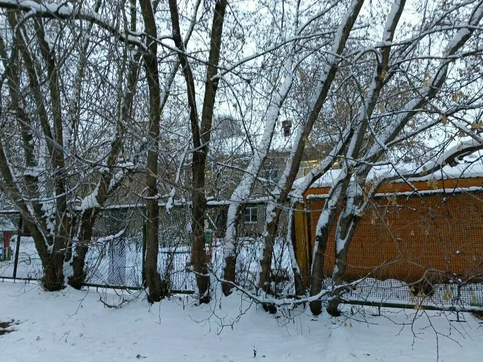 Детский сад № 80 Светлячок — фото 7