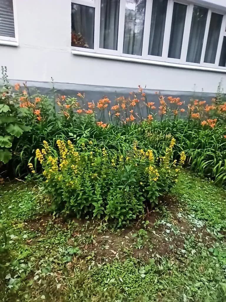 Школа имени дважды Героя Советского Союза И.С. Полбина, дошкольные группы, корпус № 4 — фото 9