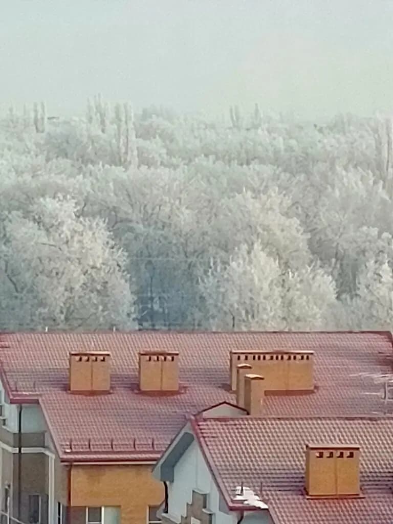 Детский сад № 27 Алые паруса — фото 10
