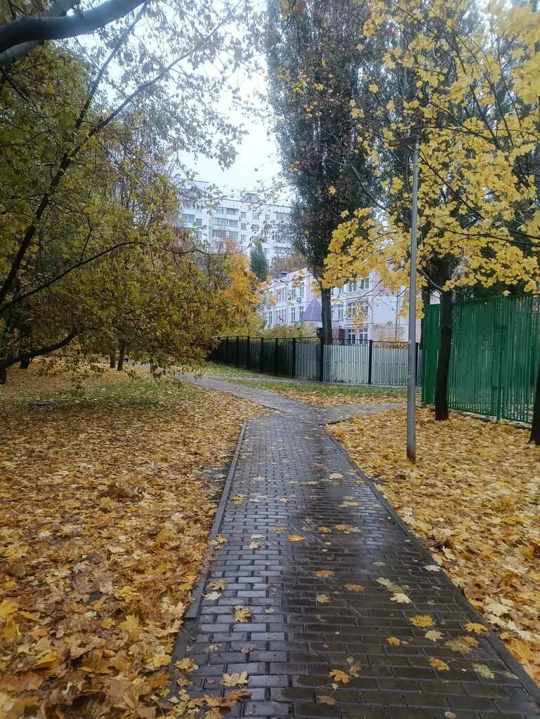 Школа № 904, учебный корпус № 9 Теремок — фото 8