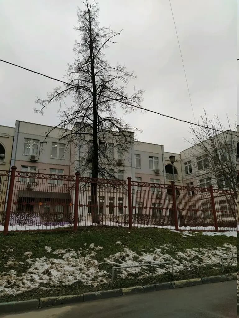 Школа № 504, здание Радуга — фото 2