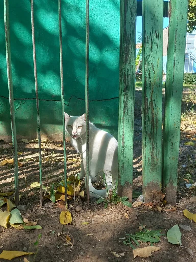 Детский сад Дружба — фото 6