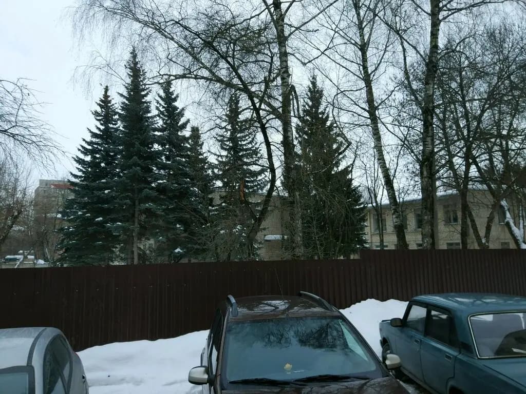 Детский сад № 50 Алёнушка — фото 4