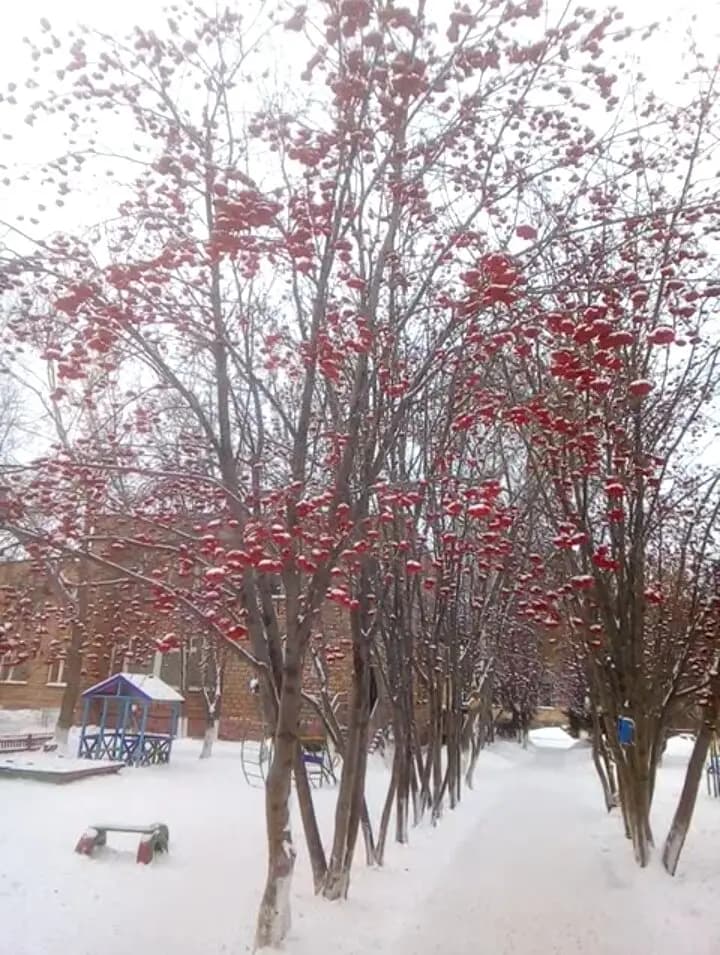 Детский сад Капитошка — фото 6