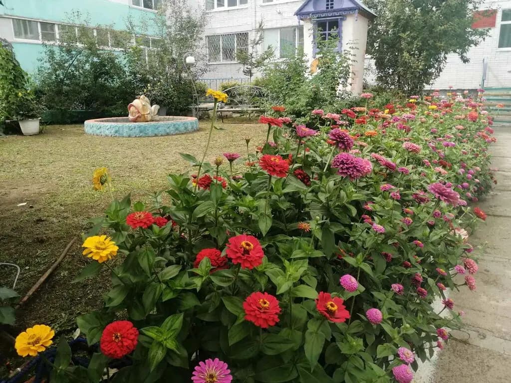 Детский сад № 12 Родничок