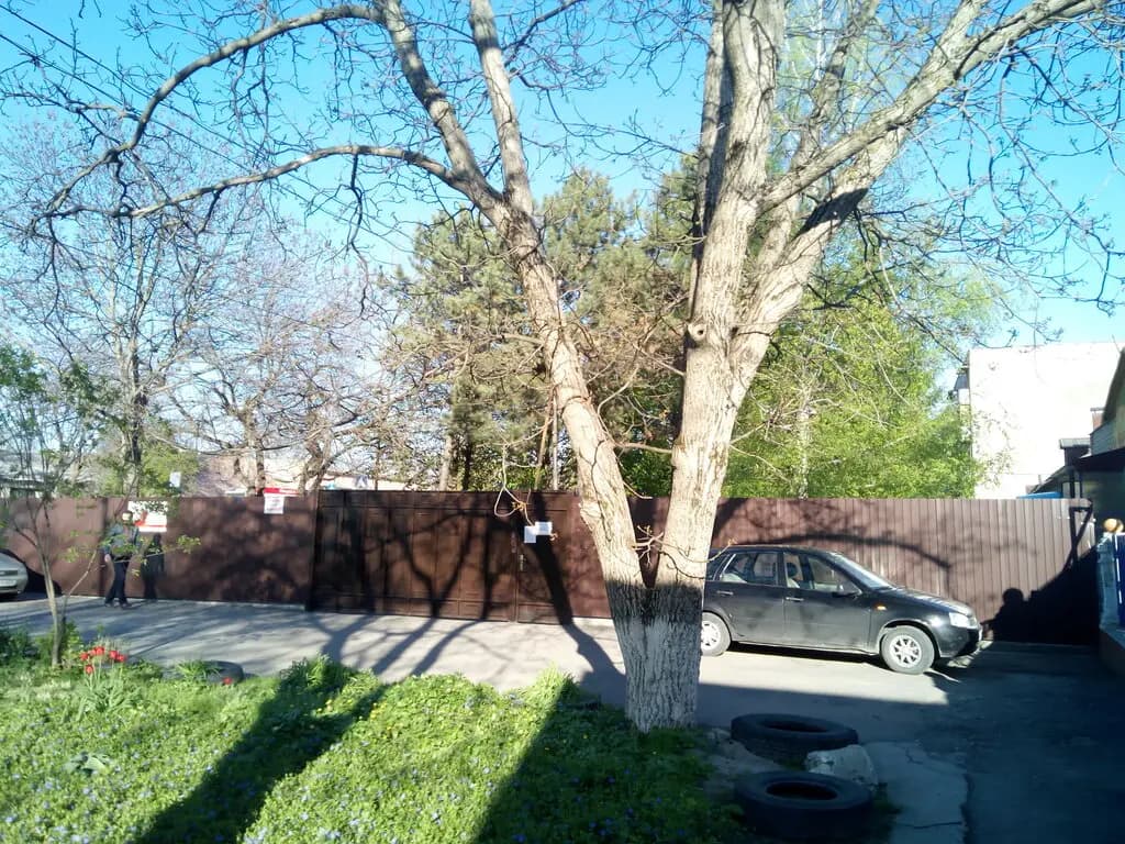 МБДОУ детский сад № 6 Ягодка — фото 3