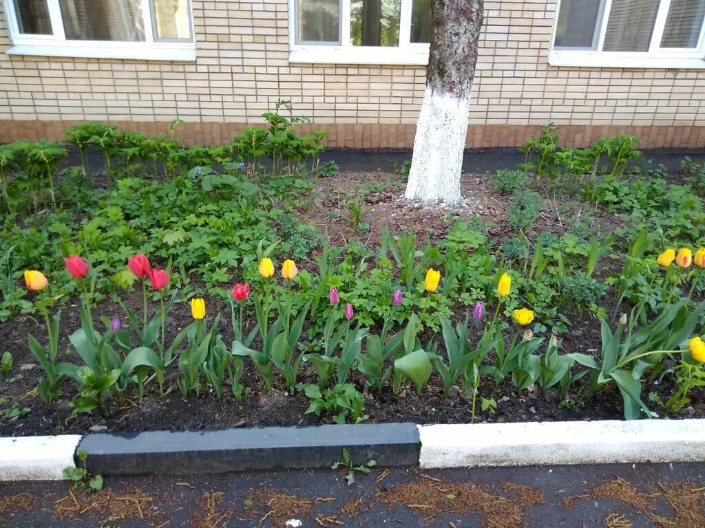 Гимназия № 13, дошкольное отделение - детский сад № 54 — фото 10