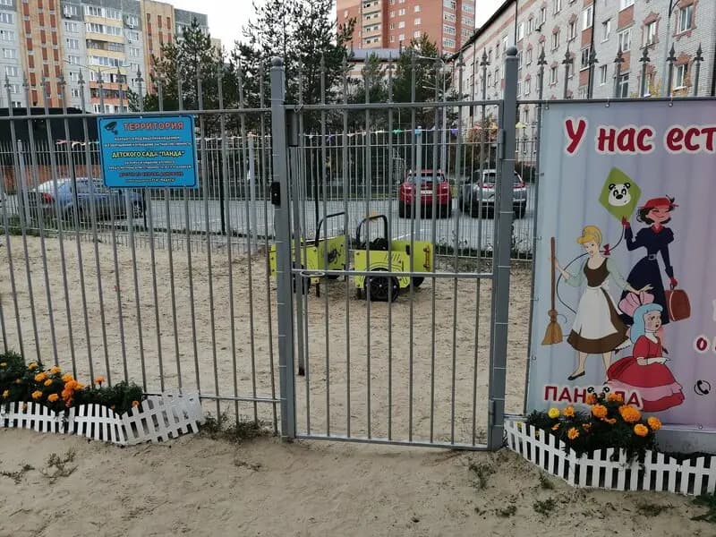 Панда — фото 6