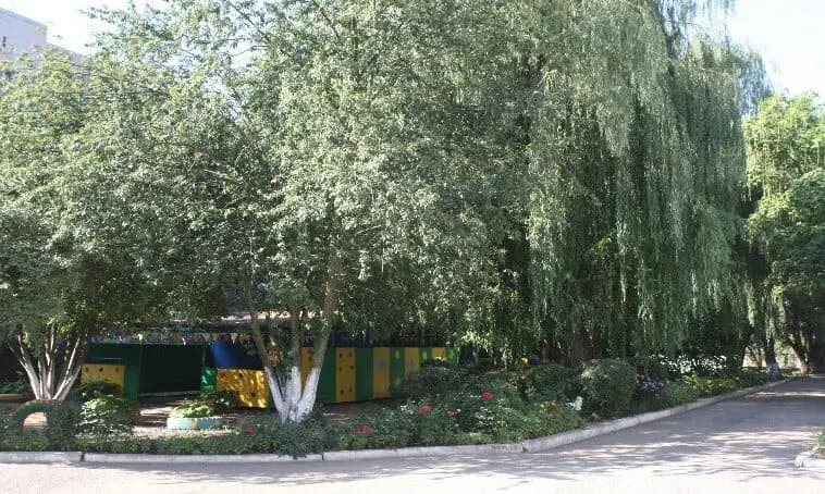 Детский сад № 38 Родник города Георгиевска — фото 2