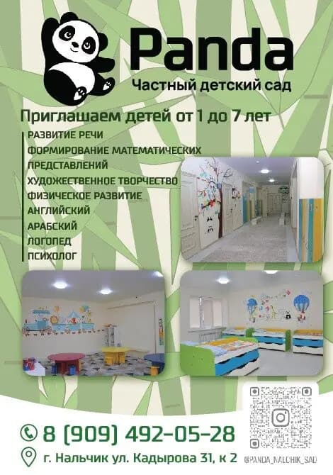 Панда — фото 5