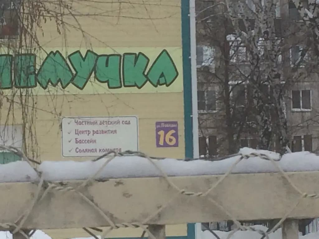 Почемучка — фото 7
