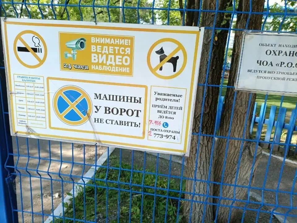 Прогимназия для детей дошкольного и младшего школьного возраста — фото 5