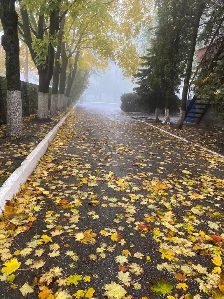 Детский сад № 2 — фото 4