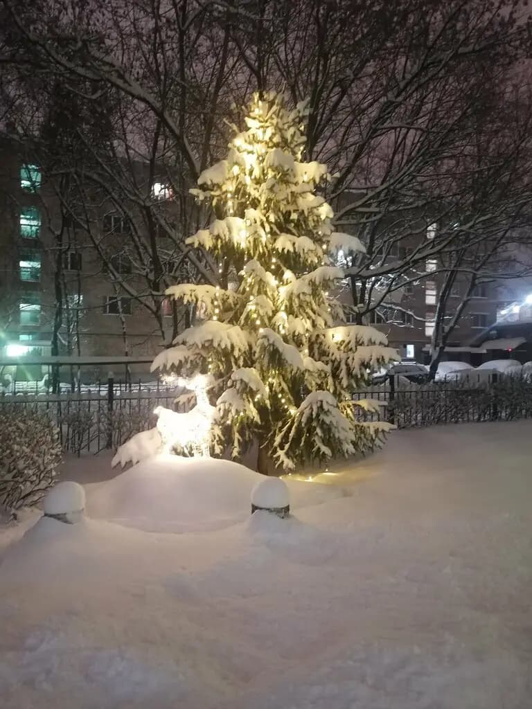 Образовательный комплекс № 1, дошкольное отделение Звёздочка — фото 2