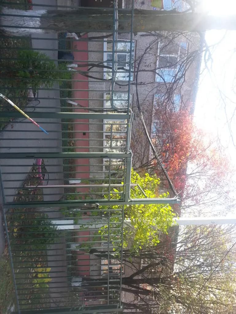 Домодедовская средняя общеобразовательная школа № 1, дошкольное отделение Золотая рыбка — фото 5