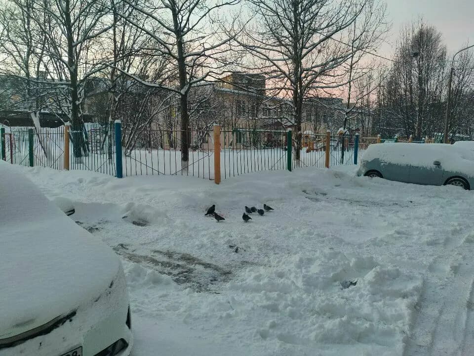 Детский сад № 72 Лапушка — фото 4