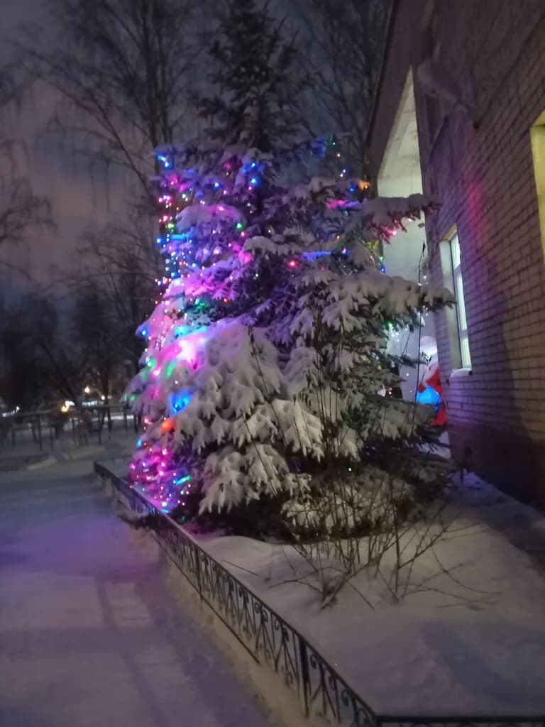 Детский сад № 12 Ромашка — фото 7
