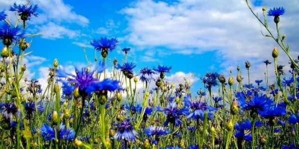 Детский сад № 19 Василёк — фото 4