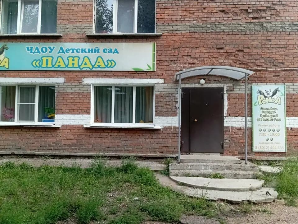 Панда — фото 5