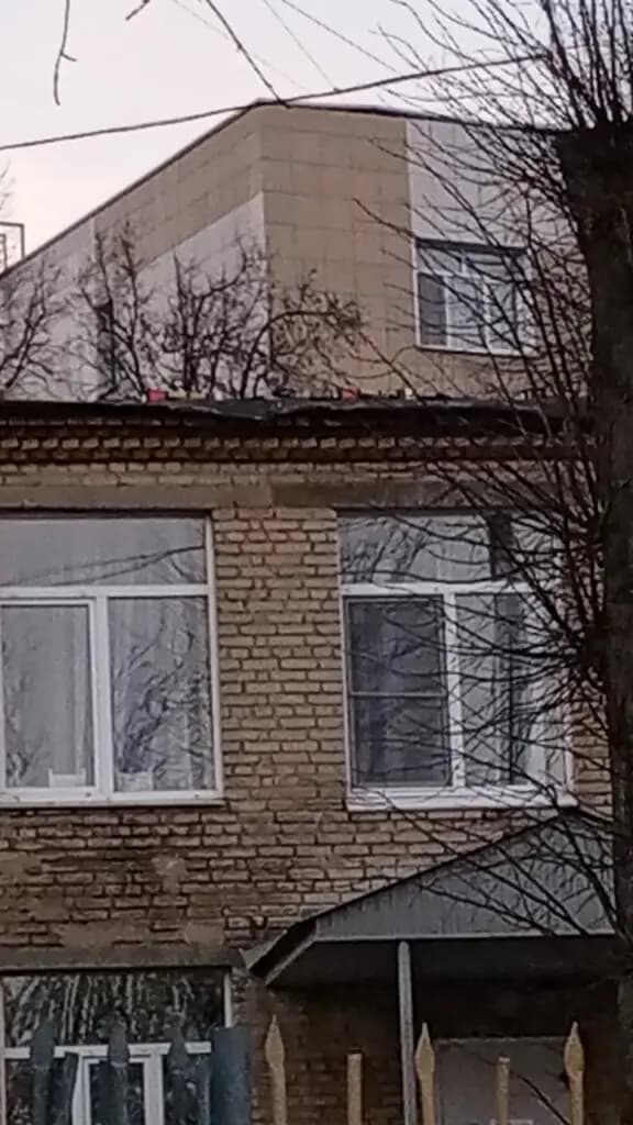Муниципальное бюджетное образовательное учреждение Центр образования № 36, дошкольное отделение — фото 10