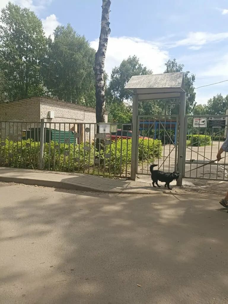 Детский сад № 81 — фото 10