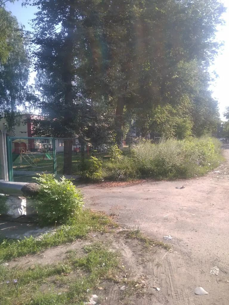 Солнышко — фото 8