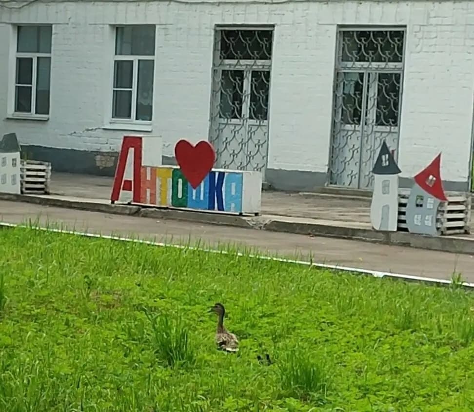 Детский сад Россиянка, структурное подразделение Антошка — фото 3