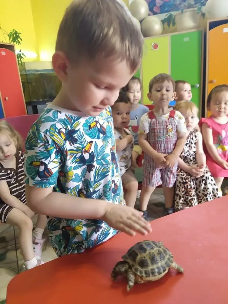 Лютики Цветочки — фото 6