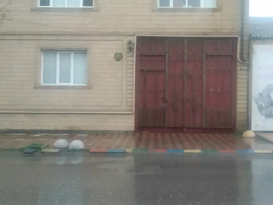Одуванчик — фото 4