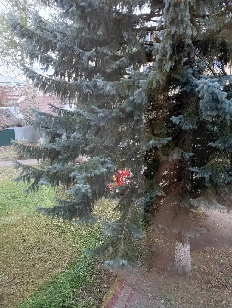Детский сад № 9 — фото 6