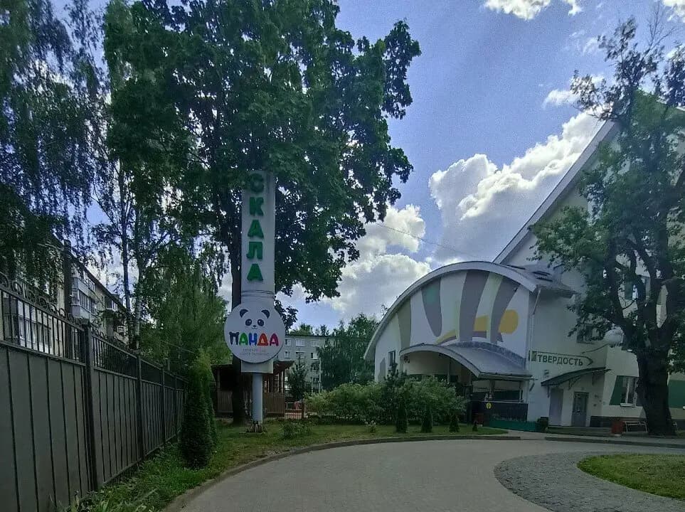 Панда — фото 5